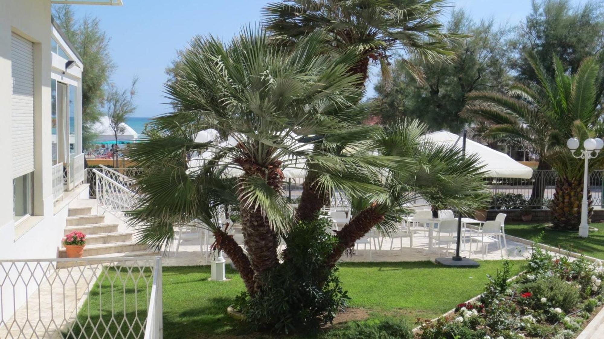 Hotel Majestic Senigallia Exterior photo